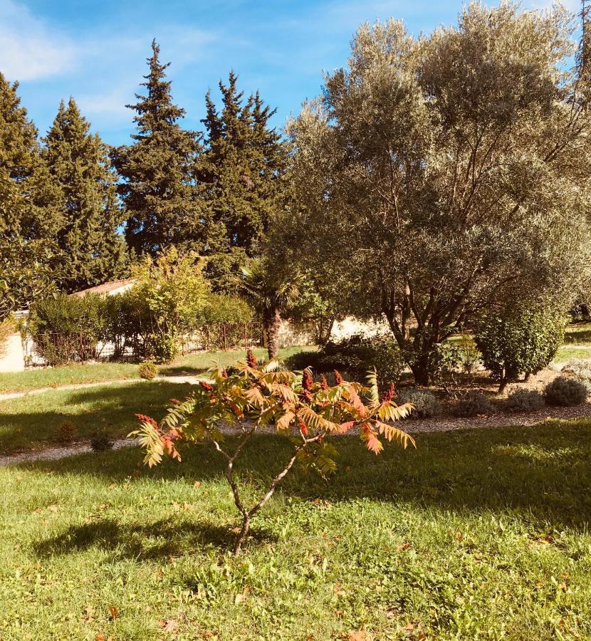 Le Mogador Chateau Du Martinet Violès Dış mekan fotoğraf